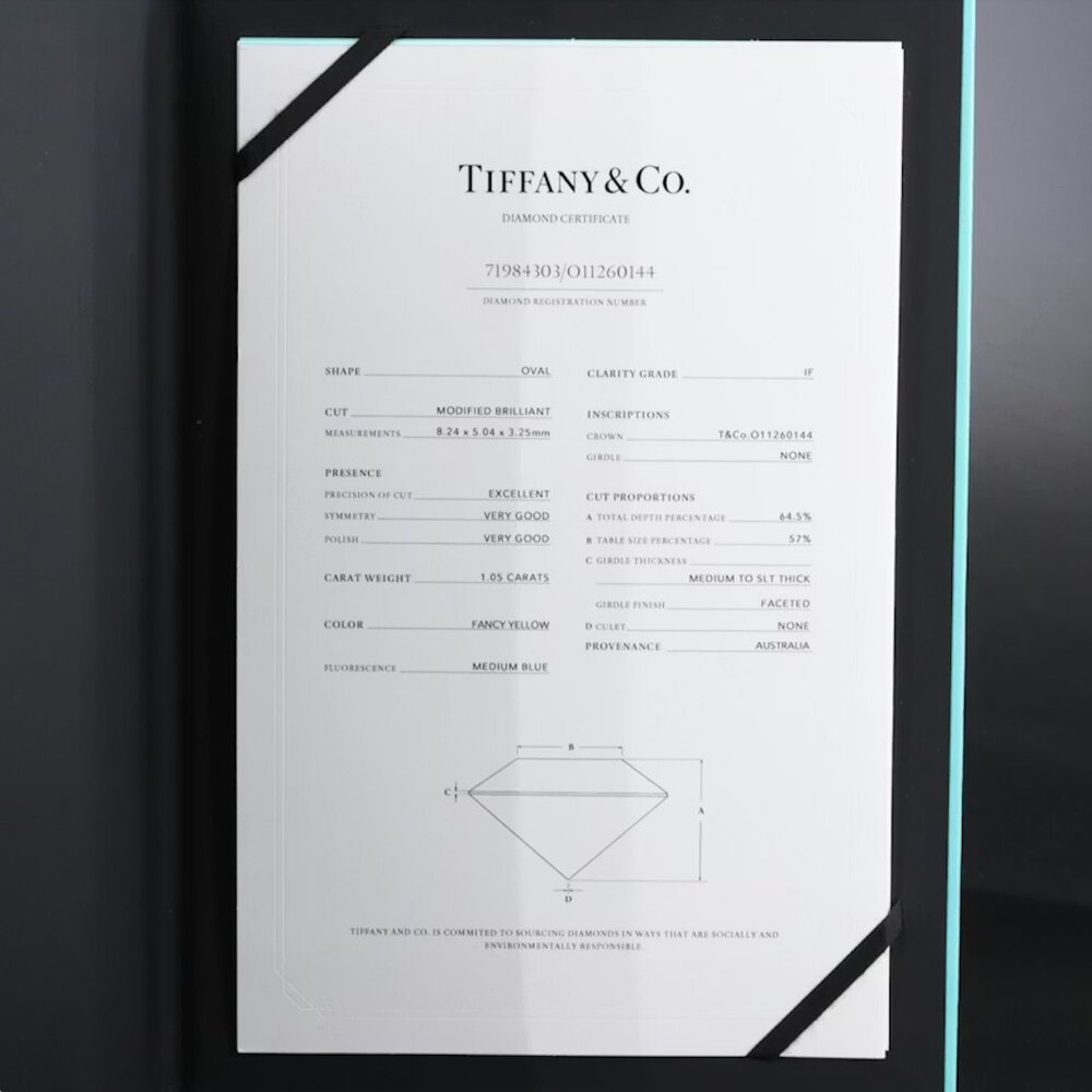Tiffany & Co. Novo 18K 1.21 CTW IF Fancy Yellow Diamond Engagement Ring - Picture 12 of 12